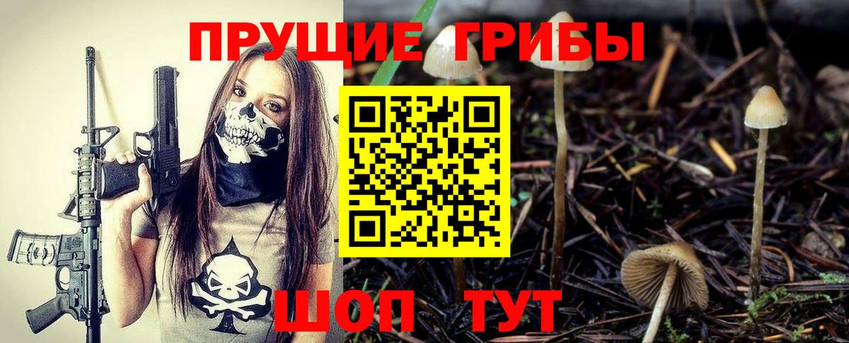 Псилоцибиновые грибы Psilocybe Белебей
