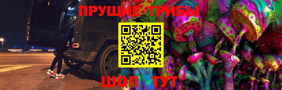 Белебей  Псилоцибиновые грибы Cubensis  Вход с VPN  Галлюциногенные грибы MAGIC MUSHROOMS 